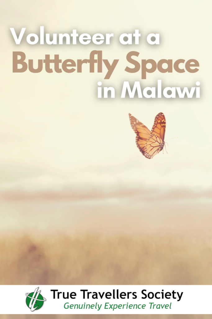 Enjoy Malawi and Help the Local Community with Butterfly Space