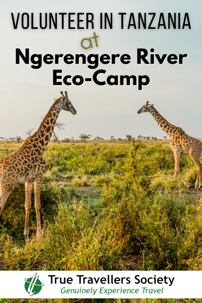 Volunteering in Tanzania with Ngerengere River Eco-Camp