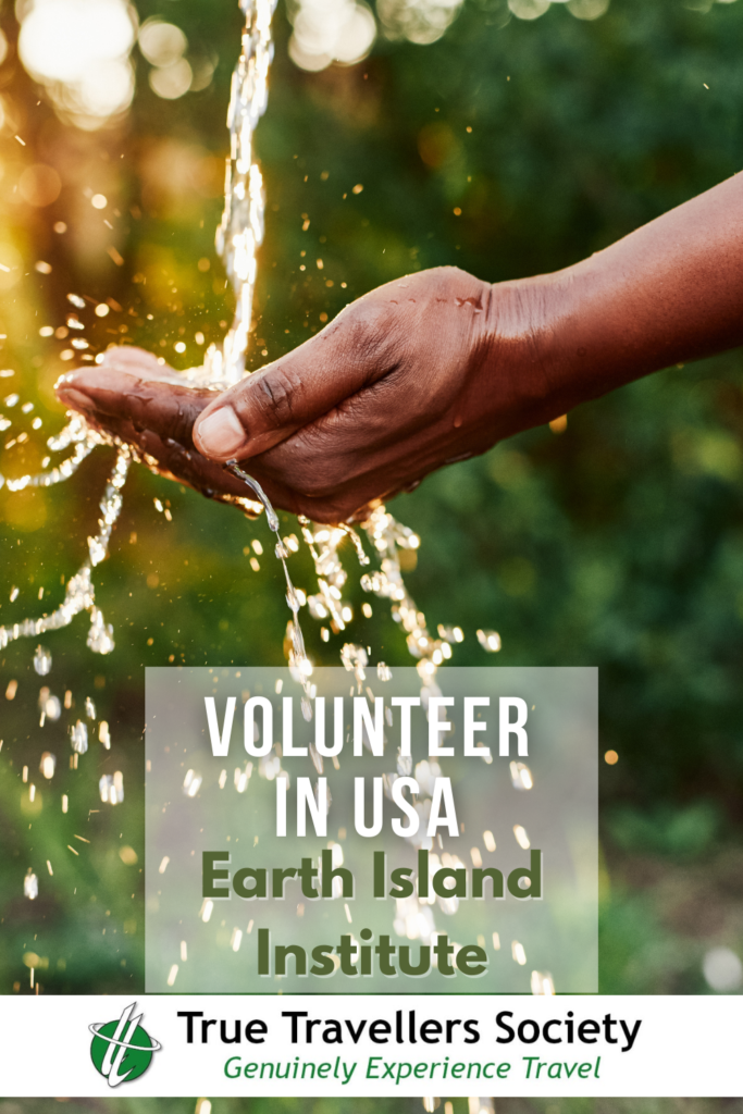 Earth Island Institute – Volunteer in the United States 