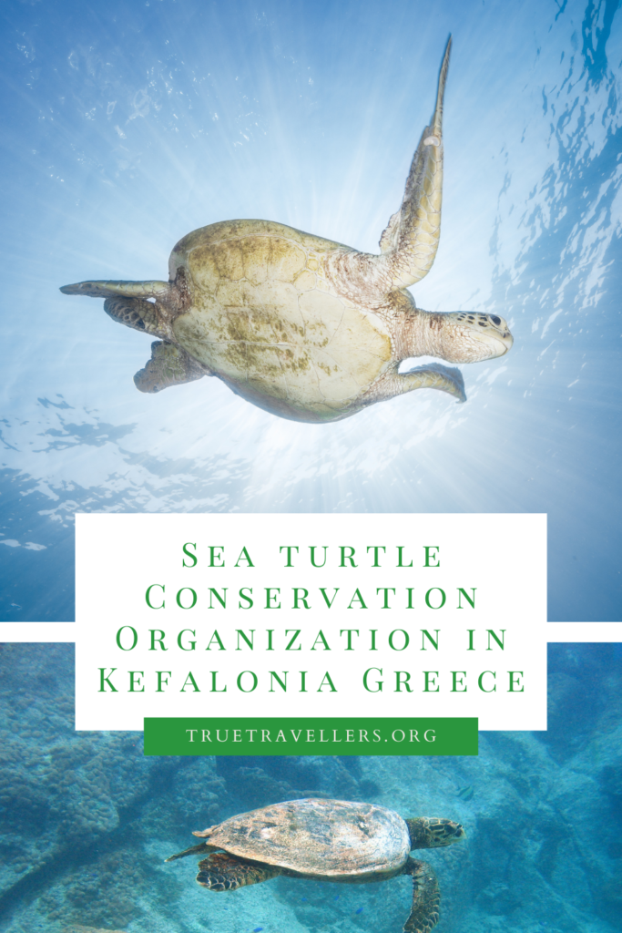 Katelios Group - Sea Turtle Conservation Organization in Kefalonia Greece