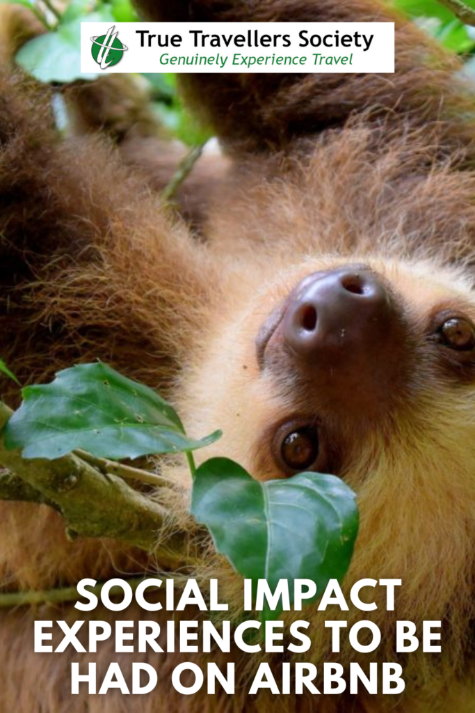 Great Social Impact Experiences to Be Had on Airbnb
